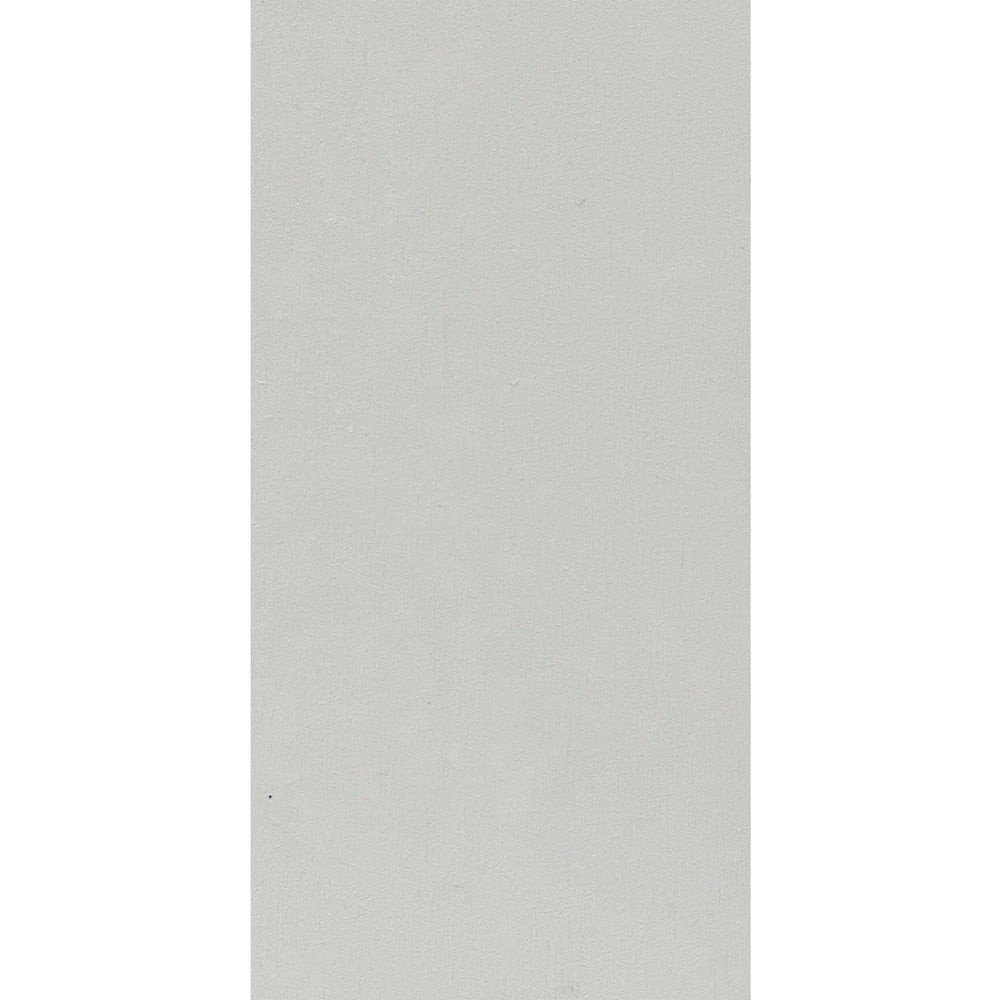 Model C1001