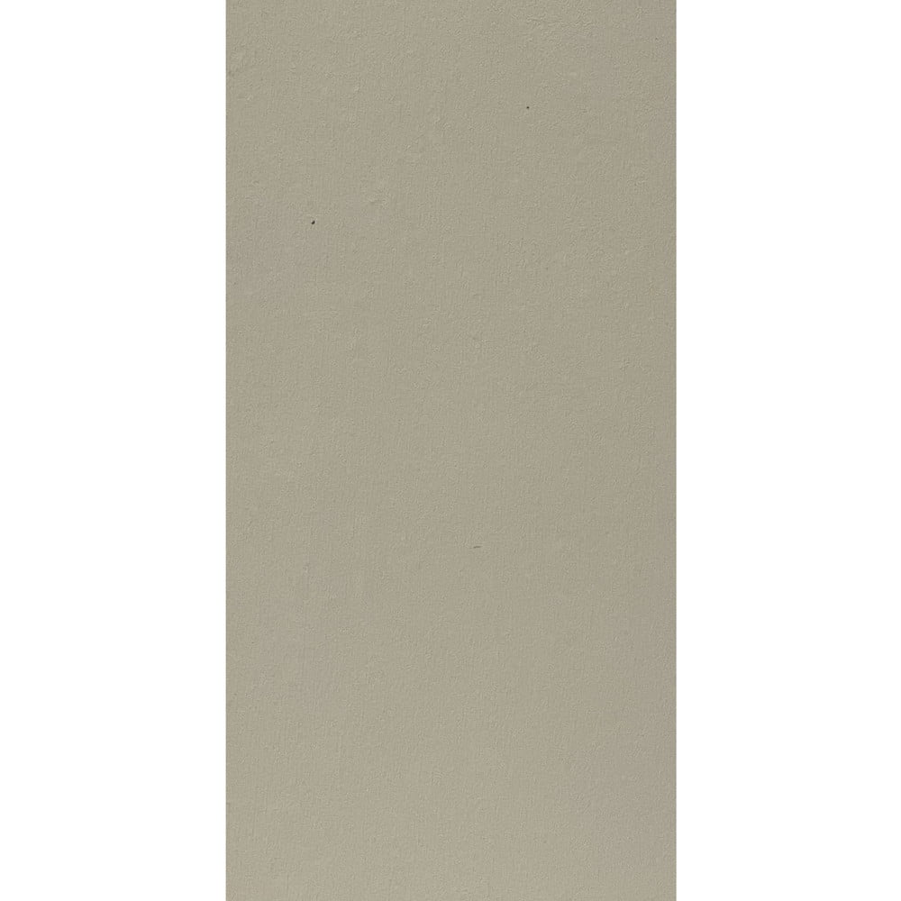 Model C1005